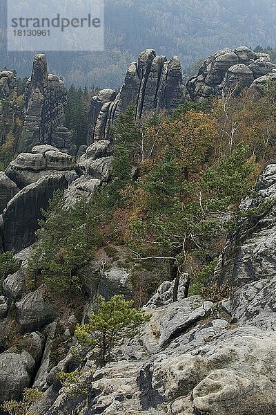 Felsen an der Schrammstein-Aussicht  Elbsandsteingebirge  Natiobnalpark Sächsiche Schweiz  Sachsen  Deutschland  Europa