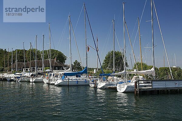 Segelboote und Segelyachten im Niendorfer Yachthafen  Ostseebad Timmendorfer Strand  Ortsteil Niendorf  Schleswig-Holstein  Ostsee  Deutschland  Europa