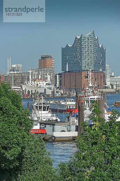 Elbphilharmonie  Hafencity  Elbe  Hamburg  Deutschland  Europa