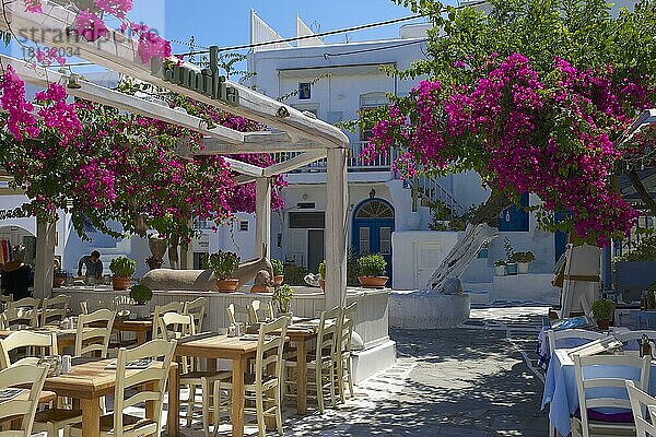 Taverne in Mykonos Stadt  Mykonos  Kykladen  Griechenland  Europa