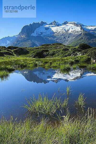 Fusshörner  Wallis  Schweiz  Europa