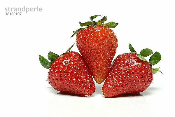 Erdbeeren (Fragaria x ananassa)