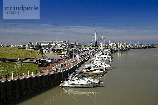 Hafen von Bensersiel  Ostfriesland  Niedersachsen  Deutschland  Europa