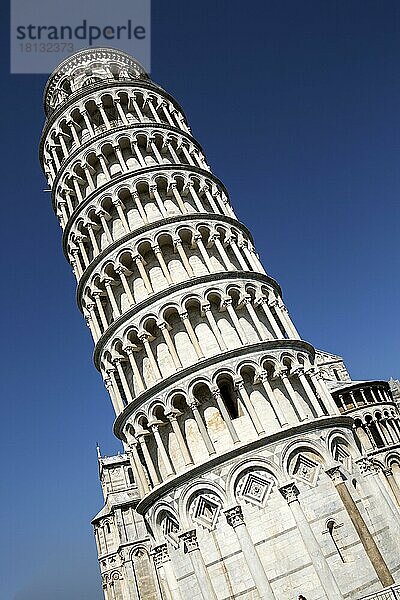 Schiefer Turm von Pisa  Italien  Europa
