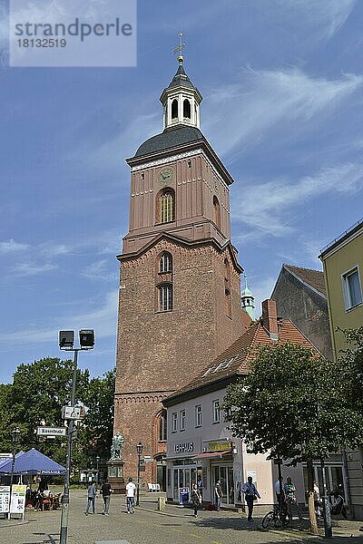 Nikolaikirche  Altstadt  Spandau  Berlin  Deutschland  Europa