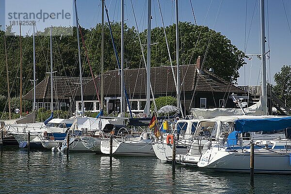 Segelboote und Segelyachten im Niendorfer Yachthafen  Ostseebad Timmendorfer Strand  Ortsteil Niendorf  Schleswig-Holstein  Ostsee  Deutschland  Europa