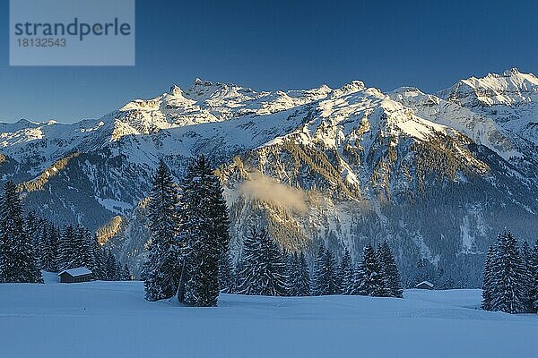 Freiberge Kärpf  Blick von Braunwald  Glarner Alpen  Schweiz  Europa