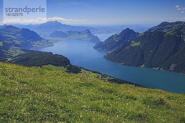 Vierwaldstättersee  Blick vom Fronalpstock  Zentralschweiz  Schweiz  Europa
