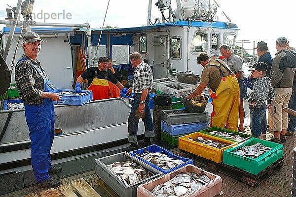 Fischfang  Fischkutter  Fischer  Fischverkauf  Kaimauer  Schaprode  Insel  Rügen  Mecklenburg-Vorpommern  Deutschland  Europa