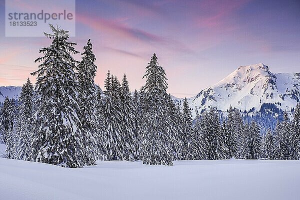 Sonnenuntergang  Alp Sellamatt  Schweiz  Europa