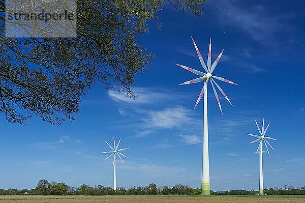 Windkraftanlage  Windräder  Carum  Niedersachsen  Deutschland  Europa
