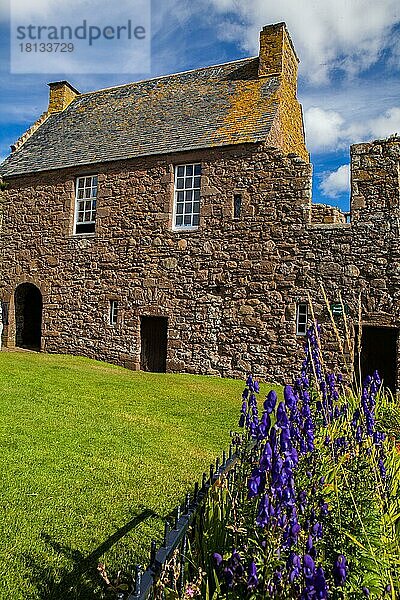 Dunnottar Castle  Stonehaven  Aberdeenshire  Schottland  UK