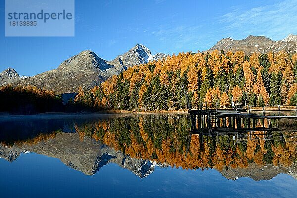 Stazer See bei St. Moritz  Lej da  Oberengadin  Engadin  Kanton Graubünden  Schweiz  Europa
