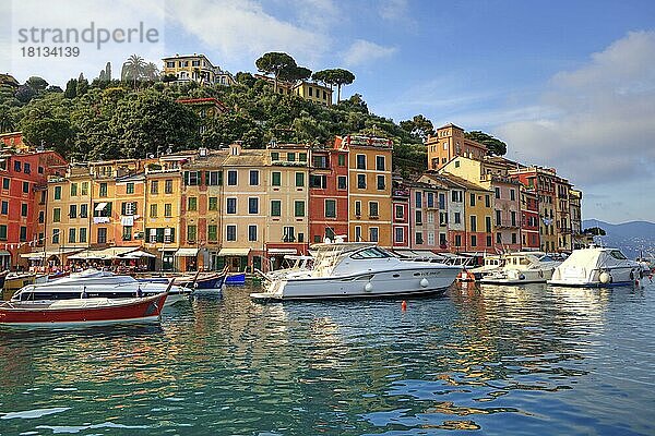 Hafen  Portofino  Golf von Tigullien  Provinz Genua  Ligurien  Golfo del Tigullio  Italien  Europa