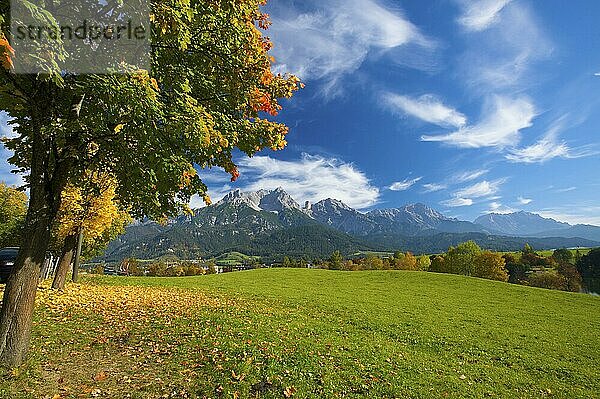 Blick von Saalfelden auf das Steinerne Meer  Pinzgau im Salzburger Land  Österreich  Europa