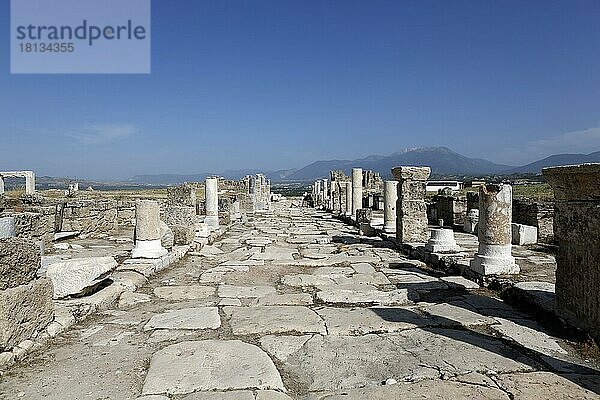 Syrien Straße in Laodikya Antike Stadt in Denizli  Türkei  Asien