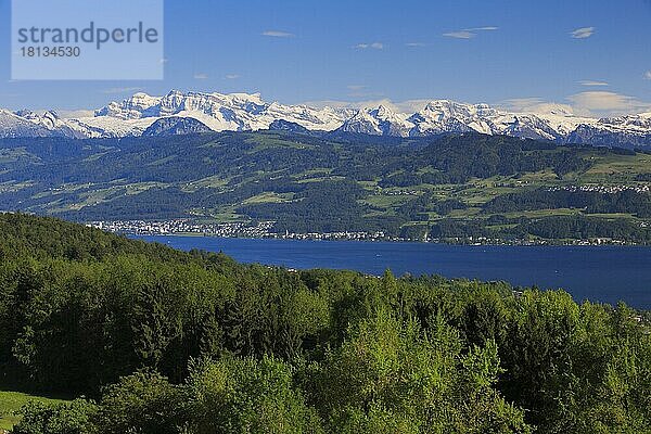 Zürichsee und Glärnisch  Aussicht vom Pfannenstiel  Zürcher Oberland  Schweiz  Europa