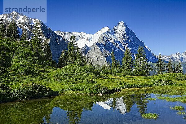 Eiger  Mönch  Berner Oberland  Schweiz  Europa