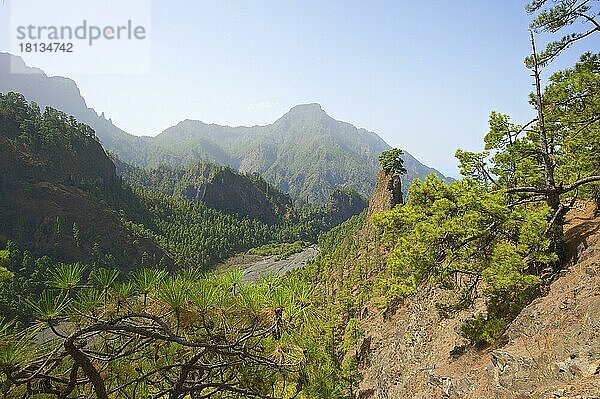 Parque Nacional de la Caldera de Taburiente  La Palma  Kanarische Inseln  Spanien  Europa