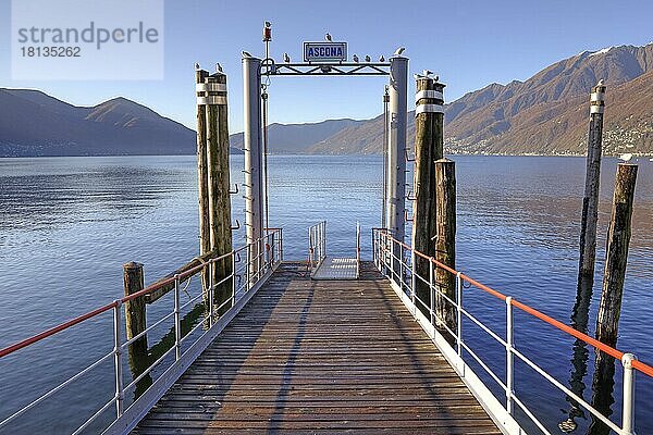 Bootsanleger  Ascona  Lago Maggiore  Tessin  Ticino  Langensee  Schweiz  Europa