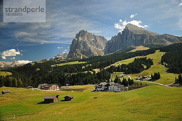 Hochalm  Almregion  Almgebiet  Sommer  Dolomiten  Südtirol  Seiseralm  Langkofel  Plattkofel  UNESCO-Welterbe