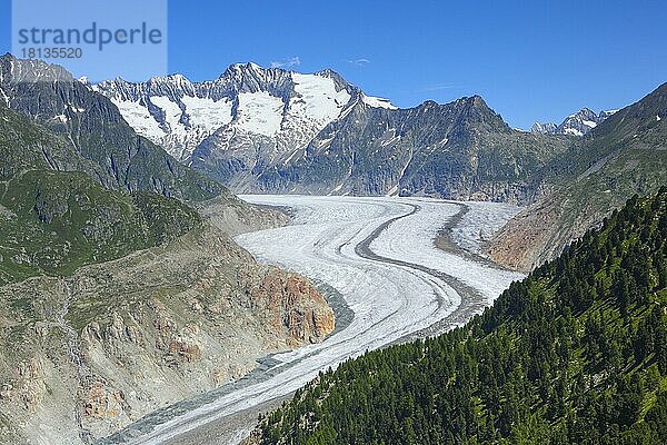 Wannenhörner und Aletsch-Gletscher  Wallis  Schweiz  Europa