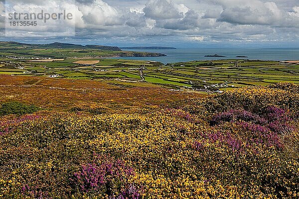 Braich y Pwll  Lynn-Halbinsel  Wales  UK