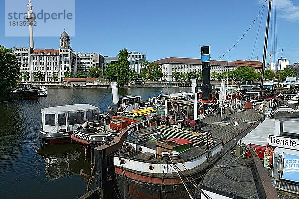 Historischer Hafen  Museumsschiffe  Ausstellung  Fischerinsel  Mitte  Berlin  Deutschland  Europa