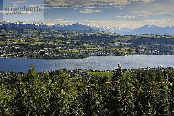 Zürichsee  Aussicht vom Pfannenstiel  Zürcher Oberland  Schweiz  Europa