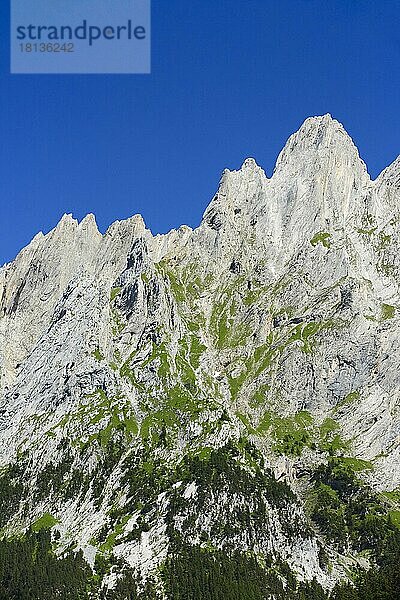 Engelhörner  Berner Oberland  Rosenlauital  Schweiz  Europa