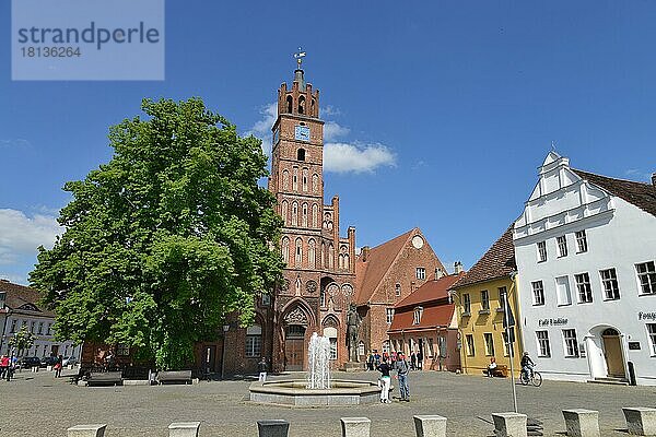 Rathaus  Altstädtischer Markt  Brandenburg an der Havel  Brandenburg  Deutschland  Europa