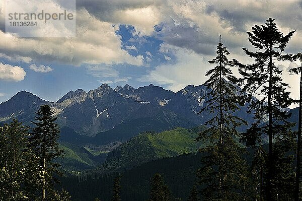 Biosphärenreservat Hohe Tatra  Zakopane  Kleinpolen  Polen  Europa