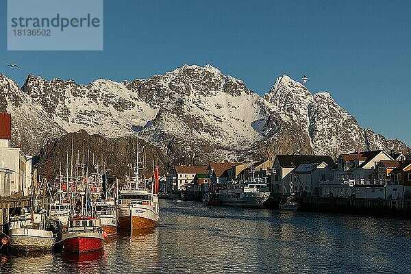 Henningsvaer  Lofoten Inseln  Nordland  Norwegen  Europa