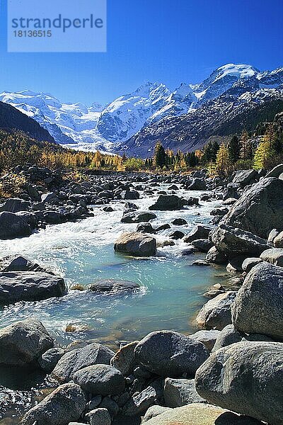 Bergbach Lärchenwald  Piz Palü  3905 m  Piz Bernina  4049 m  Biancograt  Morteratsch Gletscher  Ober Engadin  Graubünden  Schweiz  Europa