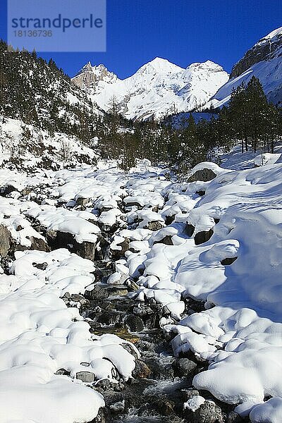 Blumlisalp Rothorn  Oeschinenhorn  Blüemlisalp  Berner Alpen  Bern  Schweiz  Europa