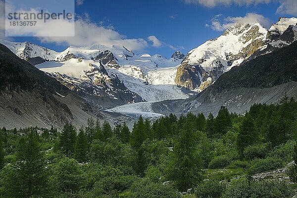 Morteratsch Tal  Piz Palü  3905 m  Piz Bernina  4049 m  Biancograt  Morteratsch Gletscher  Graubünden  Oberengadin  Schweiz  Europa