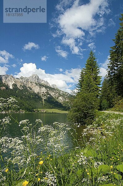 Haldensee  Blick auf Gimpel  Rote Flüh  Tannheimer Tal  Tirol  Österreich  Europa