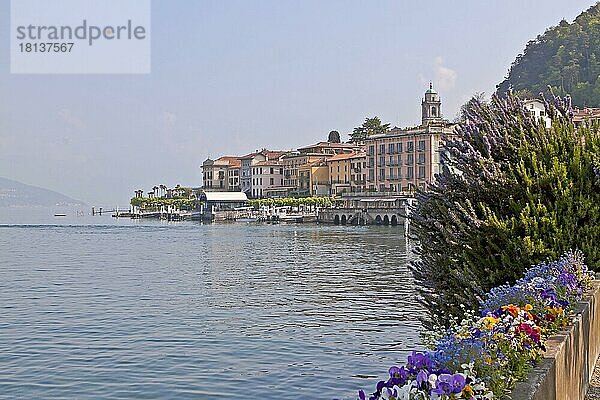 Comer See  Bellagio  Provinz Como  Lombardei  Lago di Como  Italien  Europa