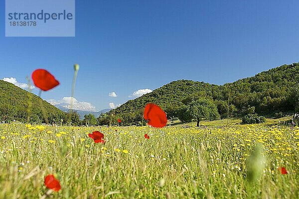 Landschaft mit Blick auf das Beydaglan/Bey Daglari Gebirge  Riviera  türkische Südküste  türkische Südküste bei Kas  Lykien  Türkei  Asien