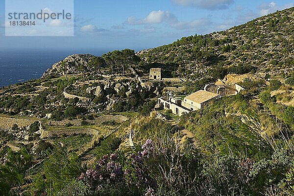 Klosterruine Sa Trapa  bei Sant Elm  Mallorca  Balearen  Spanien  Europa