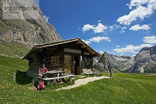 Malga-Alm unterhalb der Geislerspitzen  Seceda  Grödnertal  Dolomiten  Trentino Südtirol  Italien  Europa