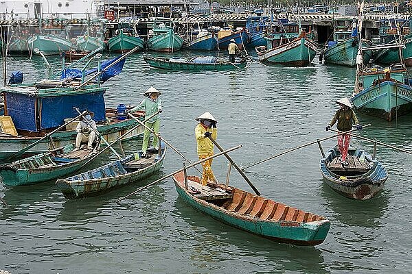 Frauen mit Kegelhut  in traditionellen Ruderbooten  Insel Phu Quoc  Vietnam  Asien