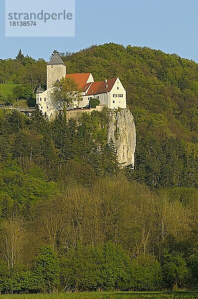 Burg Prunn  aus der Zeit um 1200  oberhalb des Main-Donau-Kanals  April  Riedenburg  Altmühltal  Franken  Bayern  Deutschland  Europa