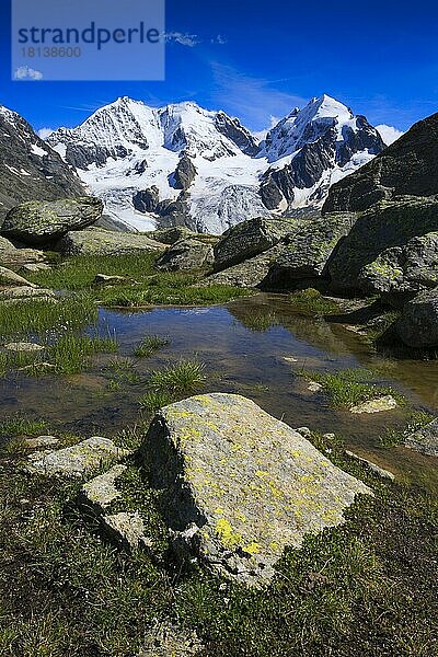 Piz Bernina  4049 m  Biancograt  Piz Roseg  3937 m  Blick von Fuorcla Surlej  Graubünden  Schweiz  Europa