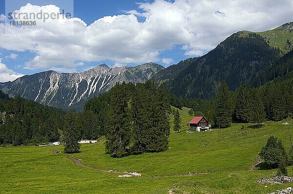 Bauernhof in Hinterstein  Hintersteintal  Bad Hindelang  Allgäu  Bayern  Deutschland  Europa