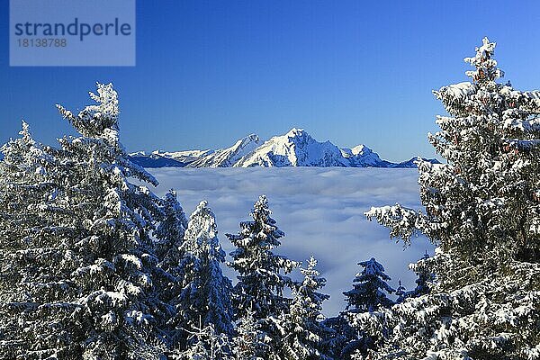 Pilatus  Pilatusmassiv  Aussicht von der Rigi  Schweiz  Europa