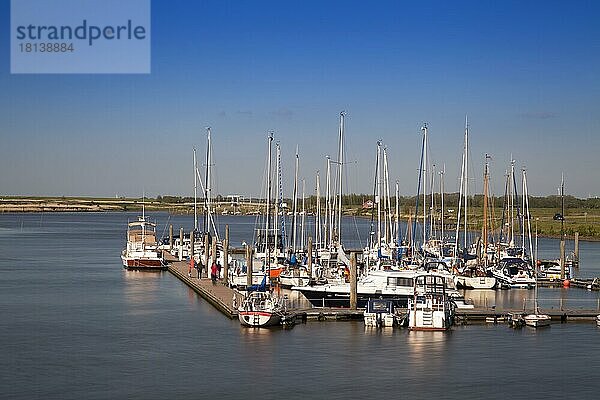 Segelboote im Hafen  Greetsiel  Leybucht  Krummhörn  Ostfriesland  Niedersachsen  Deutschland  Europa