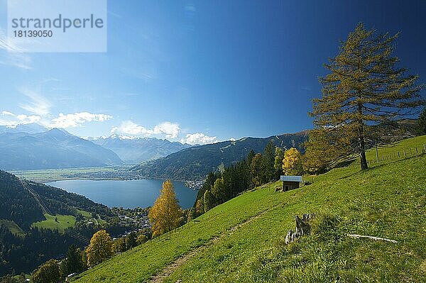 Zeller See mit Blick auf Thumersbach  Schüttdorf und Hohe Tauern  Pinzgau im Salzburger Land  Österreich  Europa