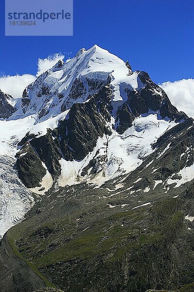 Piz Roseg  3937 m  Blick von Fuorcla Surlej  Graubünden  Schweiz  Europa