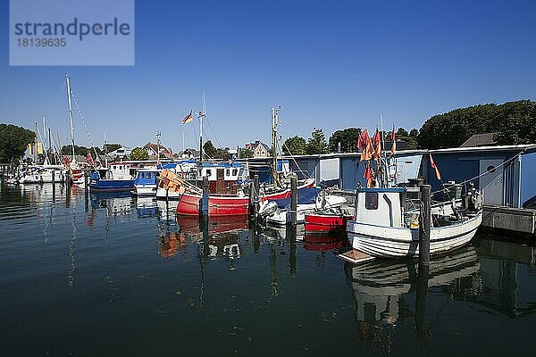 Fischerboote und Segelyachten im Niendorfer Hafen  Ostseebad Timmendorfer Strand  Ortsteil Niendorf  Schleswig-Holstein  Ostsee  Deutschland  Europa